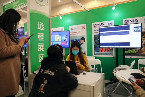中國國際教育展在京舉行，跆拳道技術咨詢成亮點